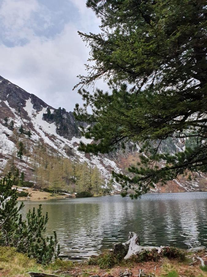Grassegger Appartementhaus Sankt Johann am Tauern Eksteriør bilde