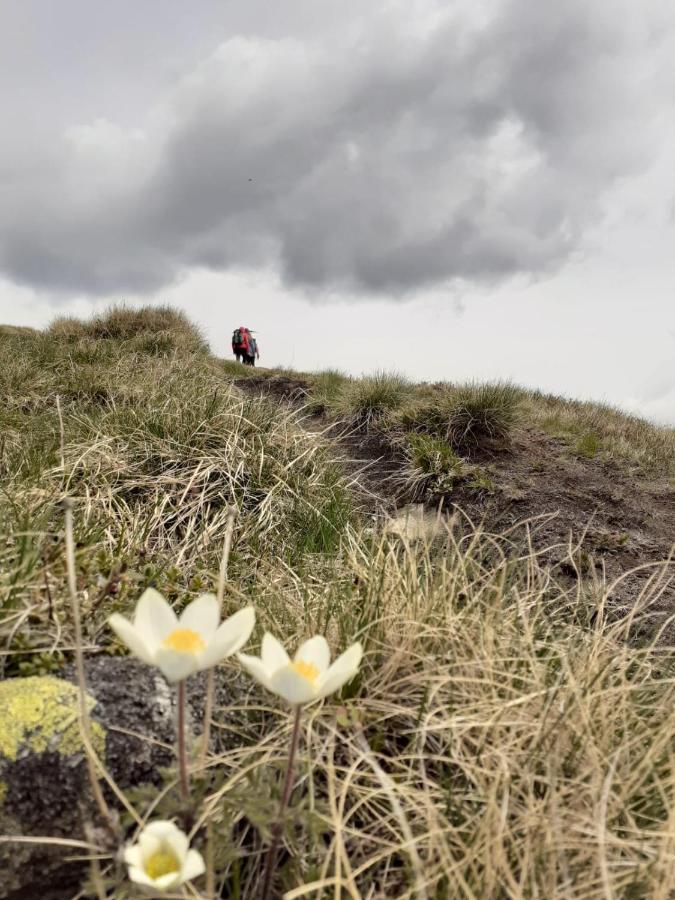 Grassegger Appartementhaus Sankt Johann am Tauern Eksteriør bilde