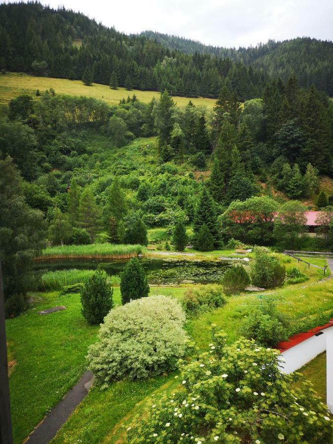 Grassegger Appartementhaus Sankt Johann am Tauern Eksteriør bilde